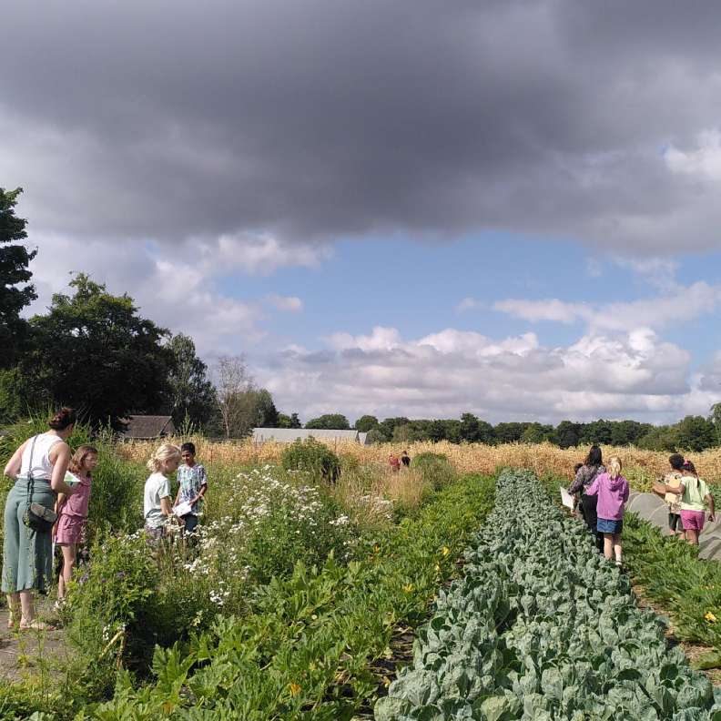 Kringloop op de tuinderij: lessen voor groep 5 en 6